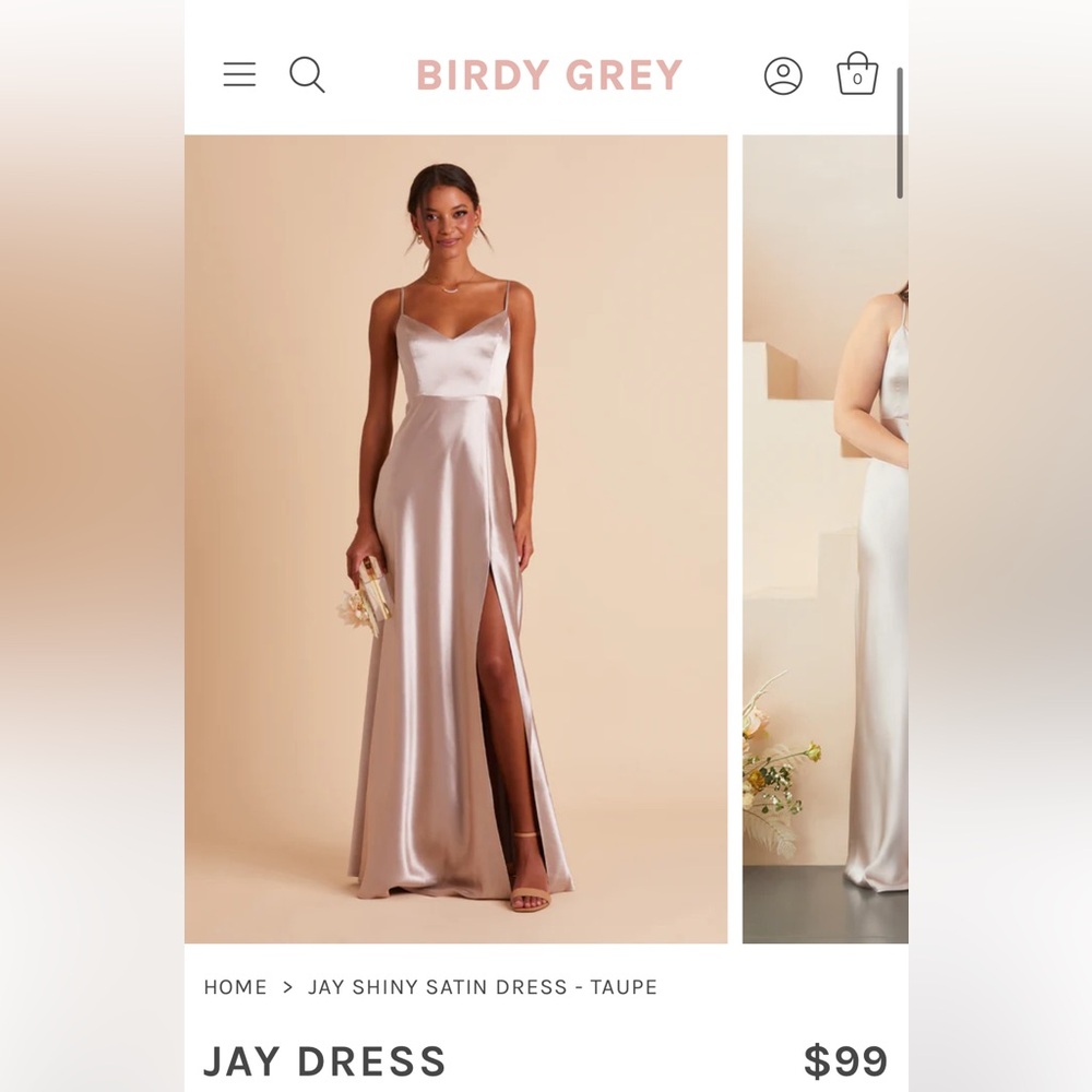 Birdy Grey Jay Satin Dress in Taupe